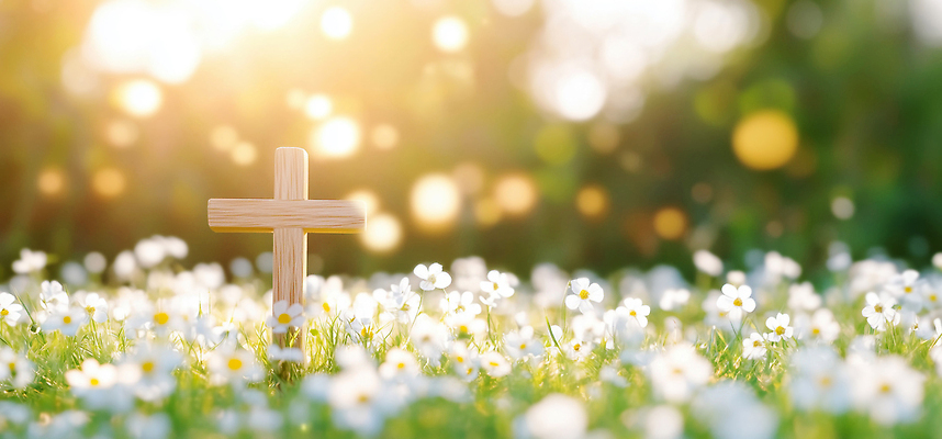 JPG 나무 편집이미지 꽃 기독교 종교 십자가 꽃밭 자연 바람 밝음 풍경 여름 햇빛 평화 희망 봄 필요 이미지편집 AI컴퓨터그래픽 AI콘텐츠 자연요소 식물 계절 감정 컨셉 날씨 태양 생태계 파일형식