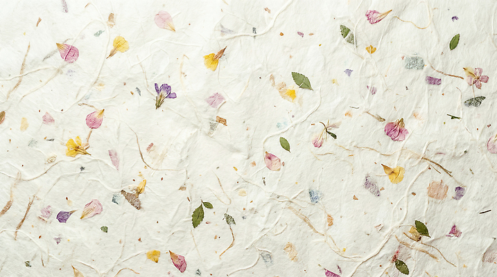 JPG 식물 편집이미지 디자인 꽃잎 종이 예술 컬러 백그라운드 잎 재료 자연 장식 혼합 한지 질감 수공예 편집실사 꽃 공예 CG 생태계 파일형식