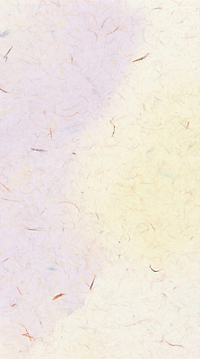 JPG 편집이미지 디자인 종이 예술 컬러 백그라운드 패턴 재료 자연 장식 한지 그림 질감 소재 창작 편집실사 무늬 CG 생태계 파일형식