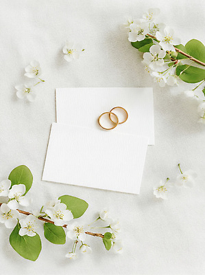 JPG 편집이미지 꽃 결혼 봄꽃 자연 결혼식 사랑 두명 장식 반지 청첩장 결혼반지 결혼소품 금반지 편집실사 AI포토 AI콘텐츠 식물 감정 장신구 카드_감사 사람 이벤트 봄 CG 오브젝트 생태계 파일형식