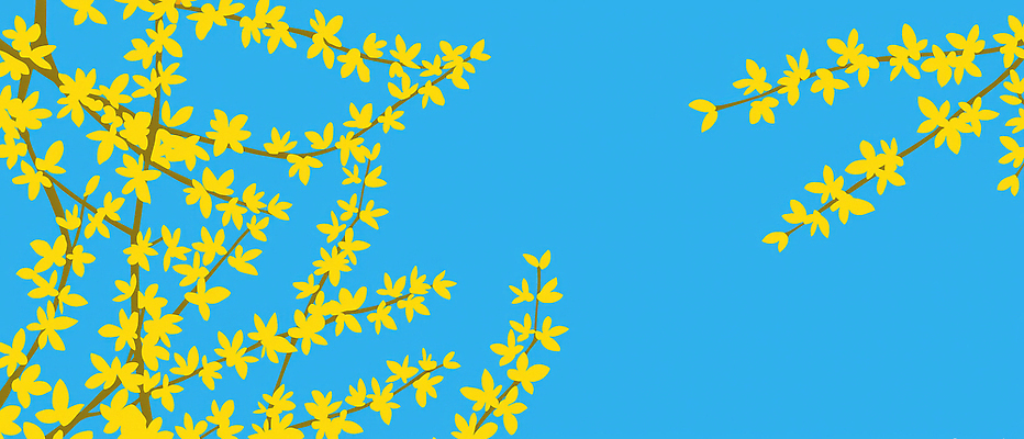 JPG 나무 식물 계절 꽃잎 꽃 컬러 일러스트 자연 하늘 생명 풍경 햇빛 노란색 환경 봄 성장 개나리 생태계 뷰티풀 국내일러스트 AI일러스트 AI콘텐츠 태양 파일형식