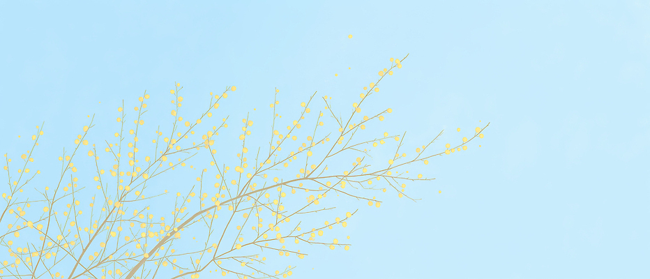 JPG 식물 꽃 잎 일러스트 자연 하늘 생명 바람 풍경 야외 일상 환경 촬영 봄 성장 나뭇가지 관찰 뷰티풀 산수유 국내일러스트 AI일러스트 AI콘텐츠 자연요소 나무 계절 모션 날씨 라이프 생태계 파일형식