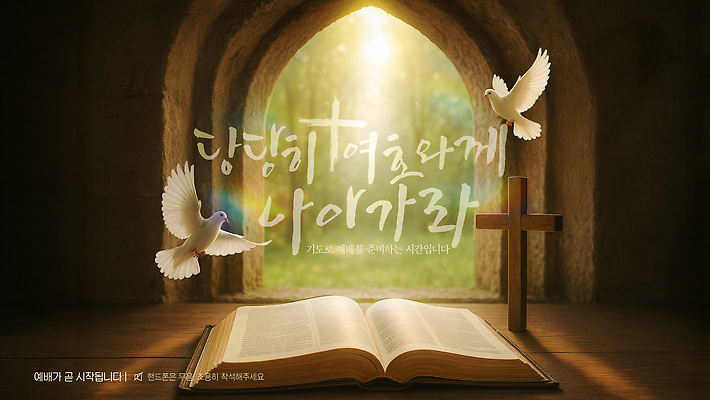 템플릿 종교 자연 일상 햇빛 교회 평화 성경 흰색 기도 비둘기 예배 이미지템플릿 AI파일 컬러 컨셉 종교용품 종교건축 조류 건물 라이프 태양 생태계 파일형식 벡터