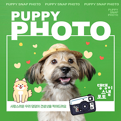 동물 템플릿 반려견 포즈 백그라운드 사진 밝음 순간포착 웃음 장식 반려동물 카메라 개 강아지 즐거움 순간 이미지템플릿 AI파일 감정 포유류 촬영기법 표정 전자제품 파일형식 벡터