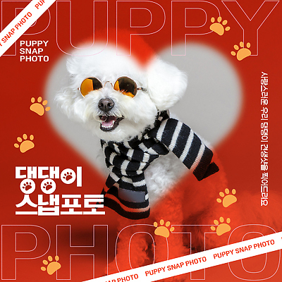 템플릿 반려견 포즈 백그라운드 사진 털 사랑 웃음 반려동물 선글라스 귀여움 스카프 하트 강아지 소형견 이미지템플릿 AI파일 모양 동물 감정 안경 컨셉 표정 목도리 개 파일형식 벡터