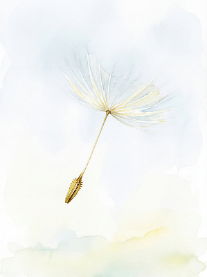 JPG 식물 여행 일러스트 자연 유리 하늘 생명 바람 수채화 씨앗 풍경 비행 민들레 신비 조화 흐림 뷰티풀 색감 순간 국내일러스트 AI일러스트 AI콘텐츠 자연요소 꽃 컨셉 재질 날씨 생태계 파일형식