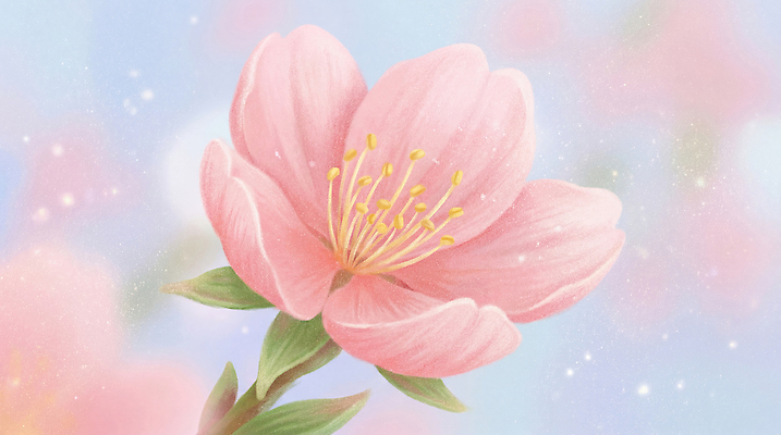 JPG 식물 디자인 꽃잎 꽃 예술 줄기 분홍색 컬러 백그라운드 잎 일러스트 자연 생명 장식 봄 들꽃 성장 벚꽃 표현 수술 흐림 뷰티풀 국내일러스트 AI일러스트 AI콘텐츠 계절 의학 날씨 치료 생태계 파일형식