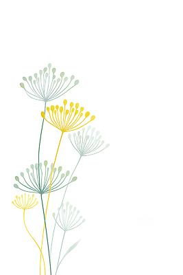 JPG 모양 식물 디자인 꽃 줄기 컬러 백그라운드 잎 일러스트 자연 생명 생물 그래픽 장식 흰색 높이 그림 국내일러스트 AI일러스트 AI콘텐츠 생태계 파일형식