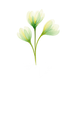 JPG 식물 디자인 계절 꽃 예술 컬러 잎 일러스트 자연 생명 장식 초록색 그리기 유채 원예 조화 뷰티풀 창작 국내일러스트 AI일러스트 AI콘텐츠 모션 취미 생태계 파일형식