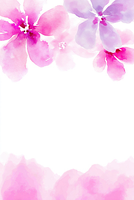 JPG 디자인 꽃잎 꽃 예술 분홍색 컬러 백그라운드 잎 패턴 일러스트 자연 수채화 장식 흰색 화려 질감 부드러움 국내일러스트 식물 컨셉 무늬 감각 생태계 파일형식