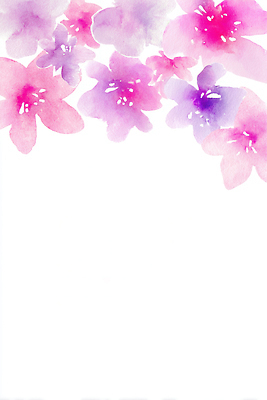 JPG 디자인 꽃 예술 분홍색 컬러 백그라운드 일러스트 자연 수채화 미술 장식 보라색 그림 화사함 직사각형 뷰티풀 창의성 국내일러스트 도형 식물 컨셉 문화예술 생태계 파일형식