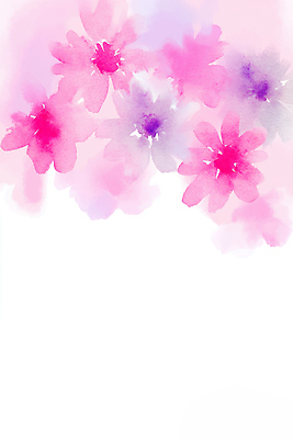 JPG 식물 디자인 꽃 예술 분홍색 컬러 백그라운드 일러스트 자연 수채화 장식 여름 보라색 그림 원예 향기 부드러움 뷰티풀 창작 국내일러스트 계절 취미 감각 생태계 냄새 파일형식