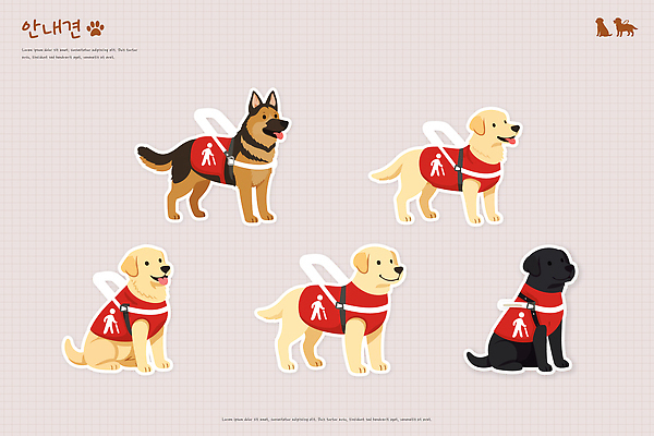 컨셉 포유류 모션 반려동물 외투 개 파일형식 벡터 안내견 조끼 연습 도움 사람 종류 서기 백그라운드 동물 보호자 강아지 캐릭터 디자인 협력 커뮤니케이션 AI파일 일러스트 국내일러스트