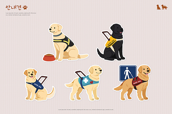 동물 상징 컬러 일러스트 안전 반려동물 장비 도움 표지판 강아지 장애인 연습 서비스 목줄 기능 노약자 안내견 역할 지원 국내일러스트 AI파일 컨셉 알림판 개 장애 파일형식 벡터 반려용품