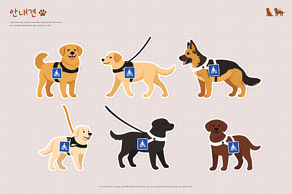 동물 반려견 일러스트 친절 안전 사람 산책 도움 강아지 보호 연습 서비스 그림 안내견 역할 지원 국내일러스트 AI파일 컨셉 휴식 반려동물 개 파일형식 벡터
