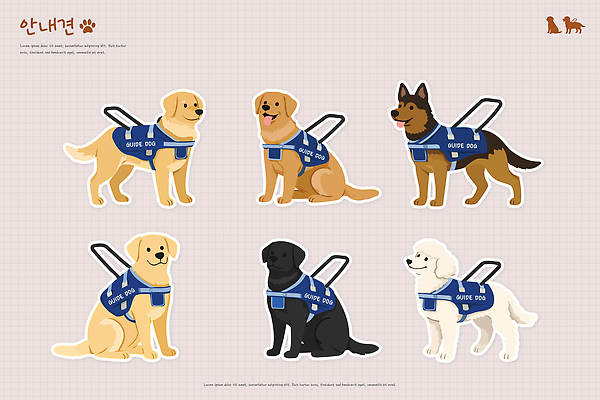 동물 반려견 일러스트 커뮤니케이션 종류 안전 생활 친구 소리 도움 개 강아지 장애인 연습 서비스 그림 안내견 가슴줄 국내일러스트 AI파일 컨셉 포유류 관계 반려동물 장애 파일형식 벡터 반려용품