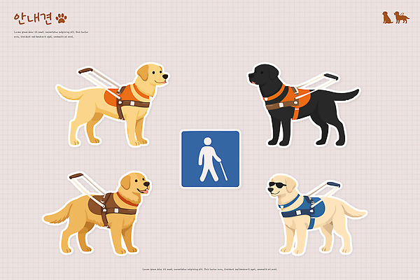 동물 도로 이동 일러스트 하늘 거리 안전 사람 야외 일상 걷기 봉사 도움 개 신호등 장애인 연습 공공장소 안내견 국내일러스트 AI파일 길 컨셉 포유류 교통시설 모션 라이프 장소 장애 파일형식 벡터