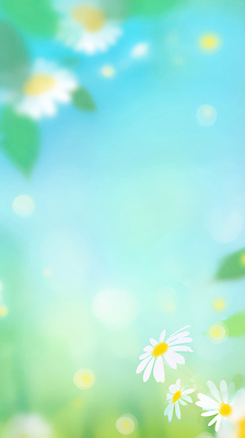 JPG 식물 꽃 컬러 백그라운드 잎 꽃밭 일러스트 자연 하늘 생명 나뭇잎 여름 파란색 햇빛 봄 공간 흰색 민들레 조화 뷰티풀 국내일러스트 계절 태양 생태계 파일형식