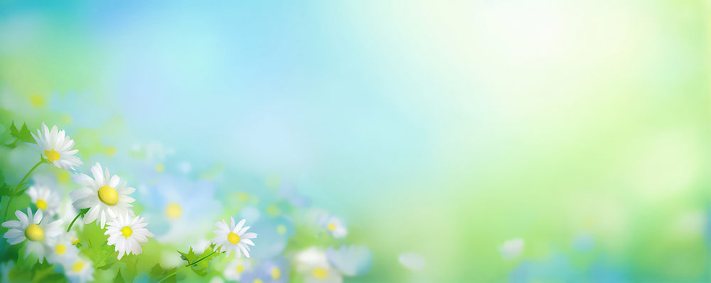 JPG 식물 꽃잎 꽃 백그라운드 꽃밭 일러스트 자연 바람 밝음 풍경 초록색 빛 햇빛 봄 들꽃 뷰티풀 국내일러스트 AI일러스트 AI콘텐츠 자연요소 계절 컬러 날씨 태양 생태계 파일형식