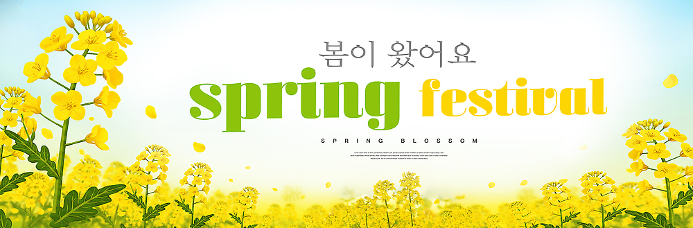 PSD 편집이미지 꽃 자연 날씨 이벤트 햇빛 노란색 축제 봄 모임 즐거움 만개 이미지편집 식물 계절 감정 컬러 태양 생태계 파일형식