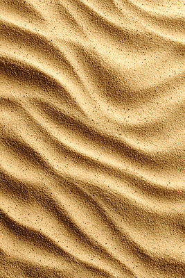 JPG 주간 식물 편집이미지 모래 패턴 하늘 생명 표면 바람 갈색 흐름 탐험 시간 땅 질감 편집실사 AI포토 AI콘텐츠 자연요소 컬러 컨셉 무늬 날씨 CG 파일형식