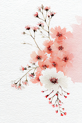 JPG 식물 디자인 꽃잎 꽃 예술 분홍색 백그라운드 일러스트 자연 생명 수채화 장식 농사 봄 흰색 그림 식물원 조화 국내일러스트 AI일러스트 AI콘텐츠 계절 컬러 농업 생태계 파일형식