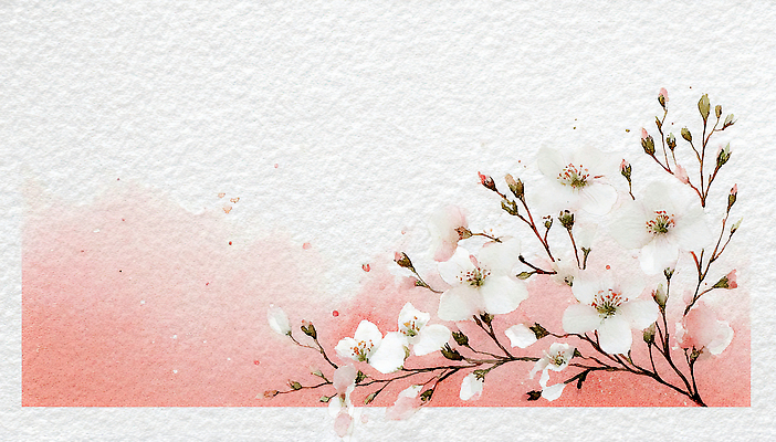 JPG 나무 식물 디자인 꽃 예술 분홍색 컬러 백그라운드 잎 일러스트 자연 수채화 풍경 장식 정원 봄 그림 화사함 뷰티풀 국내일러스트 AI일러스트 AI콘텐츠 계절 컨셉 생태계 파일형식