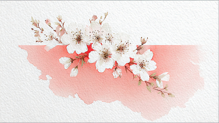 JPG 식물 디자인 꽃잎 꽃 예술 컬러 꽃다발 백그라운드 잎 일러스트 봄꽃 자연 생명 수채화 봄 꽃집 화사함 린넨 뷰티풀 국내일러스트 AI일러스트 AI콘텐츠 계절 컨셉 상점 직물 생태계 파일형식