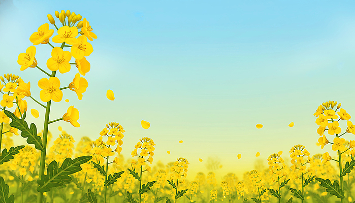 JPG 식물 계절 꽃잎 꽃 백그라운드 단풍 꽃밭 일러스트 자연 하늘 생명 바람 풍경 초원 농작물 햇빛 농장 일출 봄 성장 국내일러스트 자연요소 잎 농업 날씨 태양 노을 생태계 파일형식