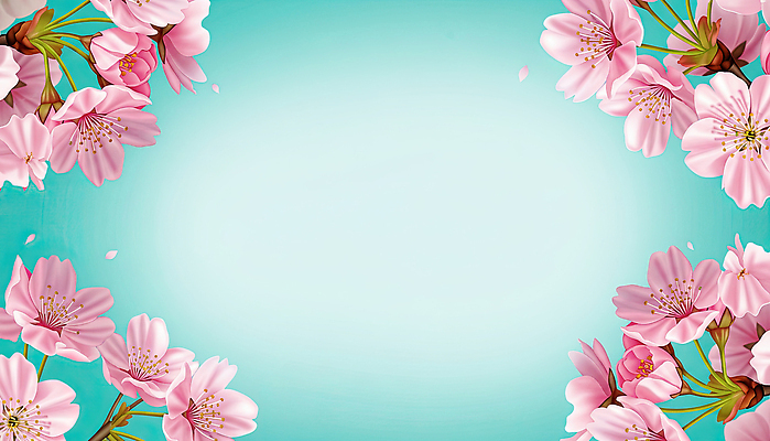 JPG 나무 꽃잎 꽃 분홍색 컬러 백그라운드 잎 일러스트 자연 하늘 생명 풍경 파란색 스크린 봄 벚꽃 장면 뷰티풀 국내일러스트 AI일러스트 AI콘텐츠 식물 계절 생태계 파일형식