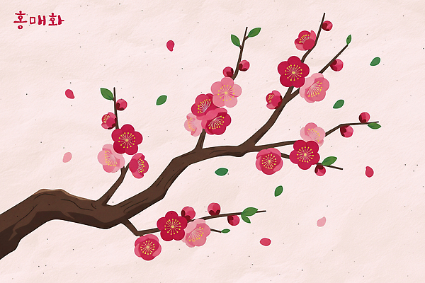 자연요소 식물 계절 꽃 컬러 날씨 풍경 생태계 매화 먼지 파일형식 벚꽃 봄 만개 분홍색 빨간색 꽃잎 바람 경관 자연 나무 뷰티풀 꽃봉오리 미세먼지 생명 국내일러스트 일러스트 PSD 백그라운드 홍매화