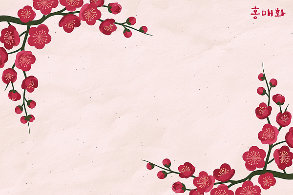 PSD 식물 전통 문양 디자인 꽃 예술 분홍색 컬러 배경화면 백그라운드 일러스트 자연 그래픽 장식 모서리 서식 이미지 홍매화 국내일러스트 생태계 매화 파일형식