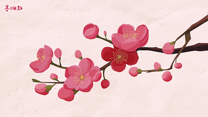 PSD 나무 식물 계절 꽃잎 꽃 줄기 백그라운드 일러스트 자연 생명 풍경 빨간색 환경 봄 관찰 변화 홍매화 대칭 만개 뷰티풀 국내일러스트 컬러 컨셉 모션 생태계 매화 파일형식
