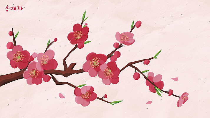 PSD 나무 식물 계절 꽃잎 꽃 분홍색 백그라운드 잎 일러스트 자연 생명 풍경 일상 세계 봄 나뭇가지 꽃봉오리 홍매화 뷰티풀 국내일러스트 컬러 라이프 생태계 매화 파일형식