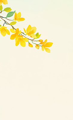 JPG 식물 디자인 계절 꽃 줄기 컬러 잎 일러스트 자연 노란색 정원 봄 성장 개나리 흰배경 조화 뷰티풀 국내일러스트 AI일러스트 AI콘텐츠 백그라운드 흰색 생태계 파일형식
