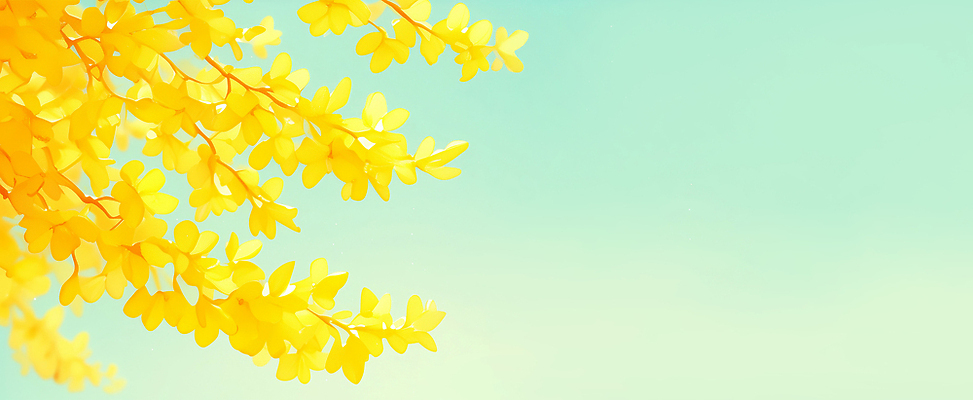 JPG 나무 식물 계절 꽃 컬러 일러스트 자연 하늘 생명 나뭇잎 풍경 파란색 햇빛 노란색 봄 개나리 산소 뷰티풀 풍요 국내일러스트 AI일러스트 AI콘텐츠 컨셉 잎 태양 원소 생태계 파일형식