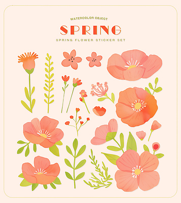 모양 PSD 식물 디자인 꽃 예술 컬러 스티커 패턴 일러스트 자연 수채화 그래픽 장식 세트 봄 공예 오브젝트 그림 이미지 창의성 창작 국내일러스트 계절 무늬 취미 생태계 파일형식