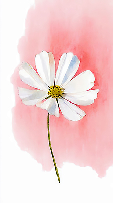 JPG 식물 디자인 꽃잎 꽃 예술 줄기 분홍색 컬러 백그라운드 일러스트 자연 생명 수채화 노란색 정원 원예 심플 조화 뷰티풀 국내일러스트 취미 생태계 파일형식