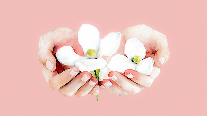 JPG 식물 손 꽃 감정 분홍색 일러스트 자연 생명 수채화 사랑 미술 사람 양손 표현 부드러움 조화 꽃받침 뷰티풀 분홍색배경 국내일러스트 AI일러스트 AI콘텐츠 컬러 백그라운드 문화예술 손짓 신체부위 감각 생태계 파일형식