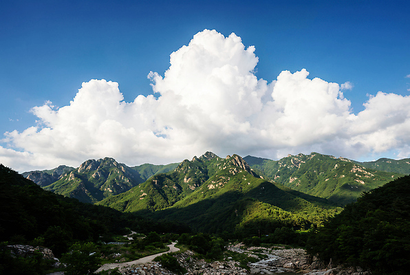 JPG 나무 편집이미지 자연 하늘 휴식 산 풍경 여러명 환경 계곡 하이킹 탐험 숲 편집실사 AI포토 AI콘텐츠 식물 다수 컨셉 레저 사람 CG 생태계 파일형식