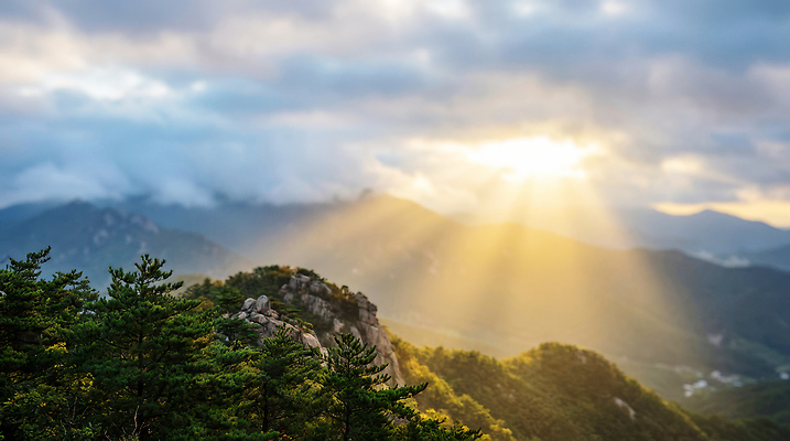 JPG 나무 편집이미지 자연 하늘 산 풍경 빛 햇빛 저녁 멀리 편집실사 AI포토 AI콘텐츠 식물 태양 야간 CG 생태계 파일형식