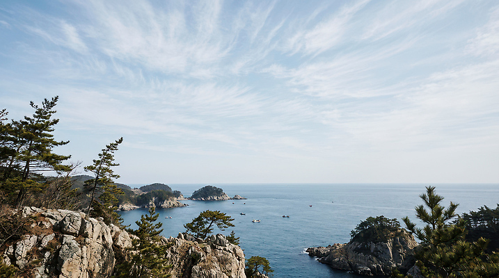 JPG 나무 편집이미지 바다 여행 자연 하늘 바람 어류 풍경 해변 절벽 잡기 어선 조용 편집실사 AI포토 AI콘텐츠 자연요소 식물 배_교통 모션 날씨 수중동물 CG 생태계 파일형식