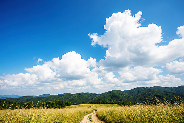 JPG 편집이미지 길 여행 자연 하늘 산 풍경 초원 야외 여름 햇빛 탐험 편집실사 AI포토 AI콘텐츠 계절 태양 CG 생태계 파일형식