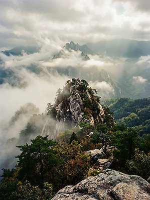 JPG 나무 편집이미지 여행 자연 하늘 아침 산 풍경 탐험 정상 숲 경관 편집실사 AI포토 AI콘텐츠 주간 식물 CG 생태계 파일형식