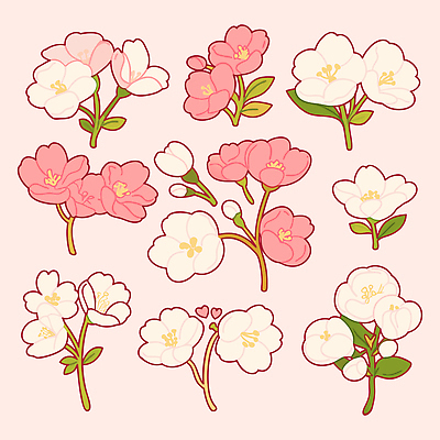 모양 식물 디자인 계절 꽃 분홍색 컬러 일러스트 자연 생명 장식 봄 벚꽃 흰색 배열 팬시 조화 뷰티풀 국내일러스트 AI파일 생태계 파일형식 벡터
