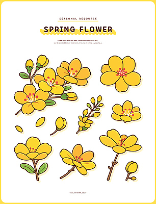 식물 디자인 계절 꽃 예술 컬러 일러스트 봄꽃 자연 생명 노란색 봄 개화 그림 서식지 뷰티풀 특징 국내일러스트 AI파일 생태계 파일형식 벡터