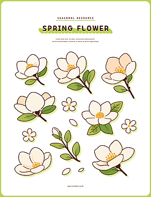 식물 디자인 꽃잎 꽃 예술 잎 일러스트 자연 생명 그래픽 봄 벚꽃 개나리 현상 브랜딩 국내일러스트 AI파일 계절 생태계 파일형식 벡터