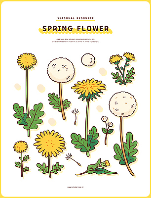 모양 식물 계절 꽃 화초 컬러 백그라운드 잎 일러스트 자연 생명 환경 봄 흰색 그리기 크기 민들레 자주색 부드러움 자원 국내일러스트 AI파일 모션 감각 생태계 파일형식 벡터