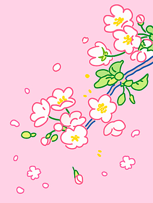 디자인 꽃잎 꽃 예술 분홍색 컬러 백그라운드 잎 패턴 일러스트 자연 생명 그래픽 봄 벚꽃 흰색 표현 향기 화사함 만개 뷰티풀 국내일러스트 AI파일 식물 계절 컨셉 무늬 생태계 냄새 파일형식 벡터