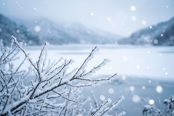 JPG 나무 편집이미지 호수 겨울 자연 하늘 바람 산 풍경 물 환경 눈송이 차가움 편집포토 자연요소 식물 계절 날씨 눈_날씨 생태계 파일형식